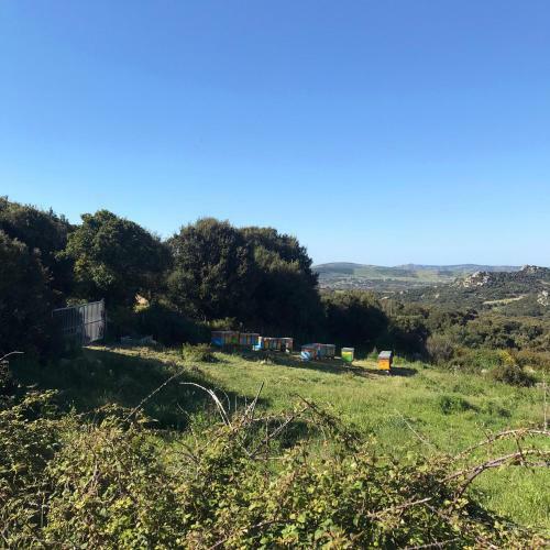 B&B La Tasgia