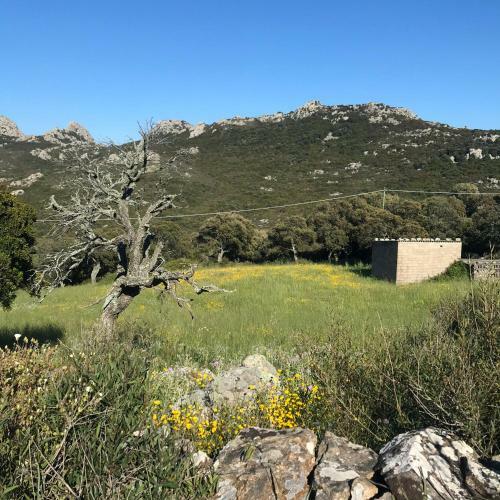 B&B La Tasgia