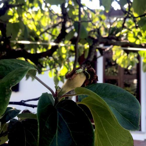 B&B La Tasgia