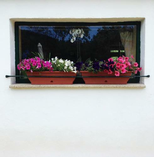 B&B La Tasgia
