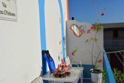 Apartamento Casa Carolina