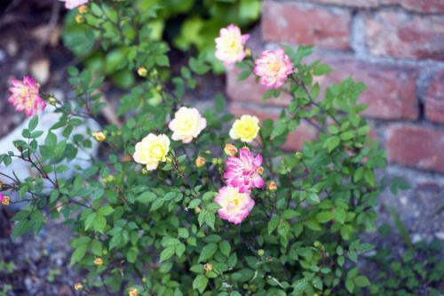 B&B Costa Lupara - Villa Murchio