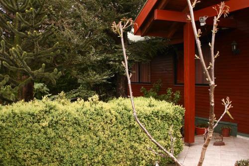 Hostal El Nogal Puc�n