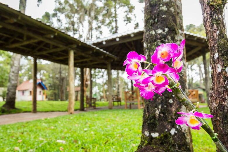 Hotel Estancia Betania