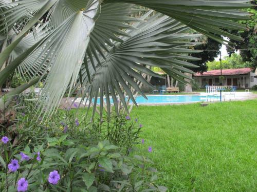 Hotel Hacienda El Placer