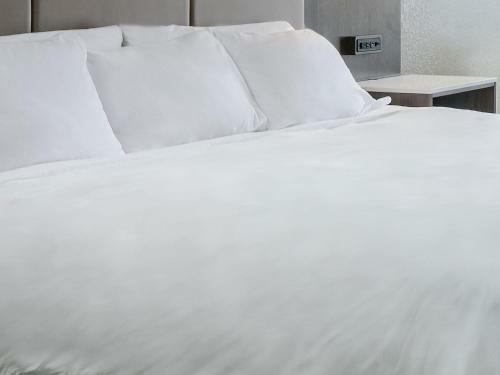 Radisson Hotel Madison
