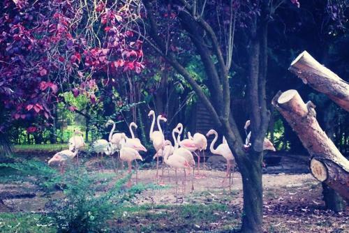 Ca'bevilacqua Bed&breakfast