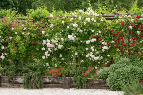 Ca'bevilacqua Bed&breakfast