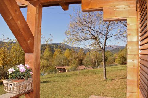 Camping Ripolles