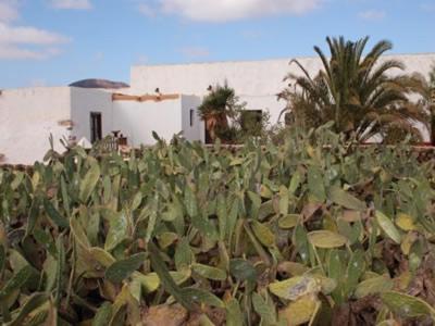 Casa Las Portadas