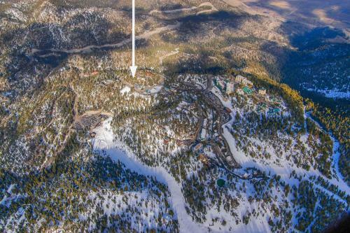 Tahoe Village 307a