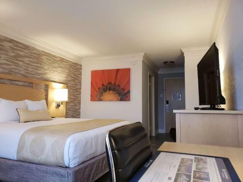 Ramada Plaza Hotel