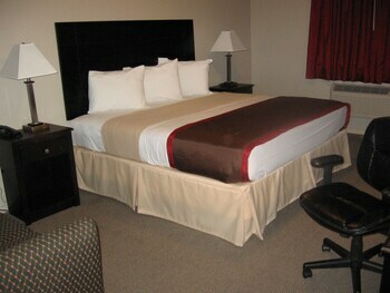 Hotel Roomy Inn & Suites