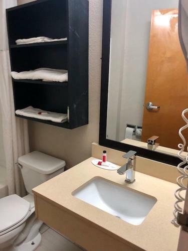 Hotel Microtel Inn By Wyndham - Murfreesboro