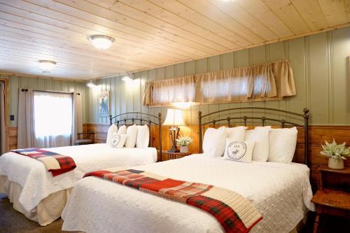 Motel Moose Creek Cabins