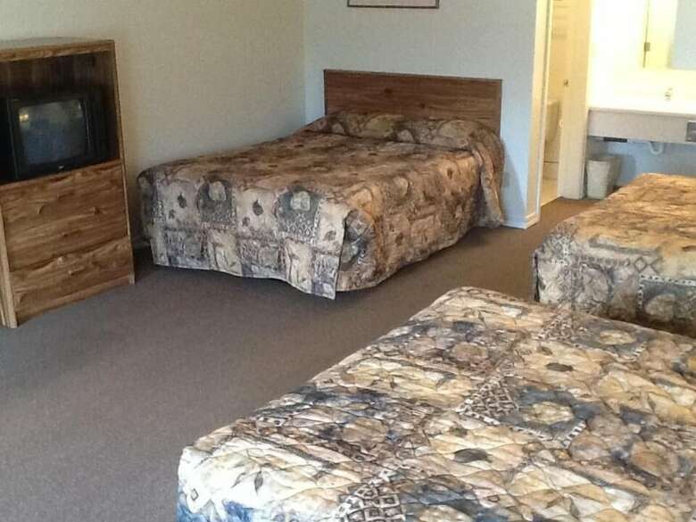Motel Dude & Roundup