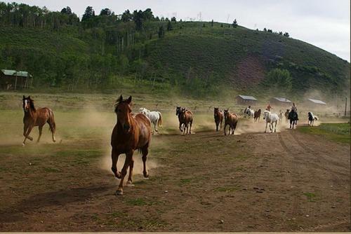 Hotel Parade Rest Ranch