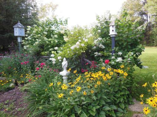 Bed & Breakfast Greenbrier Inn Killington