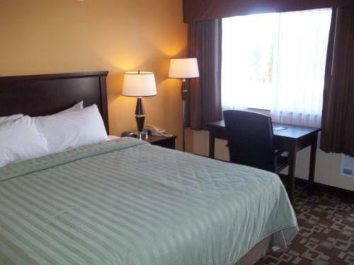 Motel Newport Travelodge