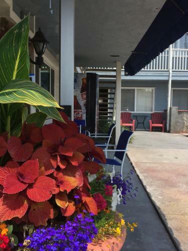 Motel The Shores Inn