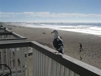 Posada Inn On The Beach