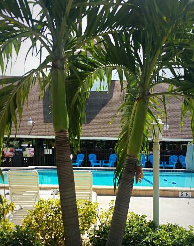 Hotel Dolphin Key Resort - Cape Coral