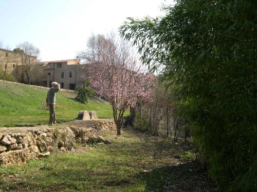 Apartamento Moli Del Salt