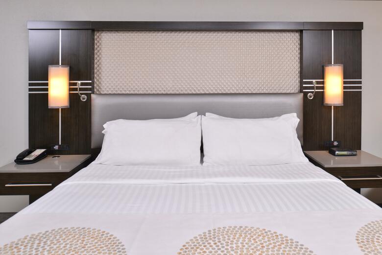 Hotel Holiday Inn Richardson