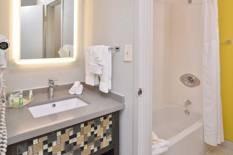 Hotel Holiday Inn Richardson