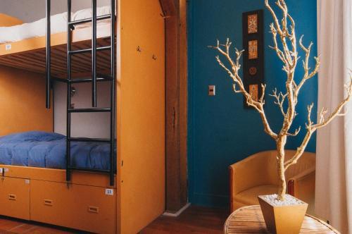 Albergue Hostal And Suites Bella 269