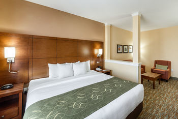 Hotel Comfort Suites Cotulla