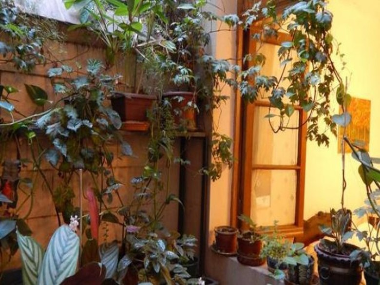 Bed & Breakfast Alojamiento Alberto Magno