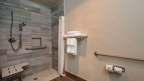 Hotel Best Western Plus Vineyard Inn