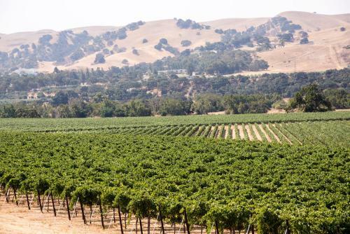 Hotel Courtyard By Marriott Livermore