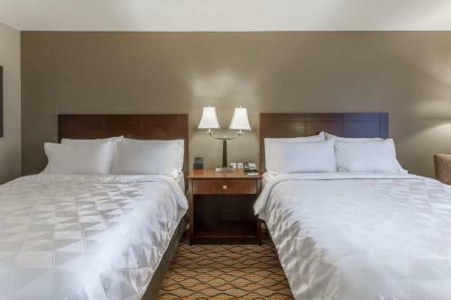 Hotel Holiday Inn Eau Claire South