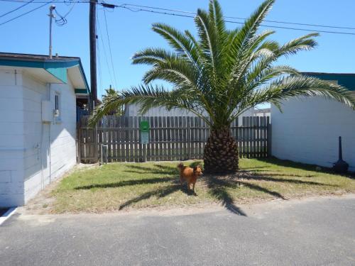 Motel Tropic Island Resort