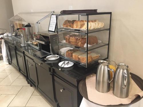 Hotel Sheraton Suites Chicago Elk Grove