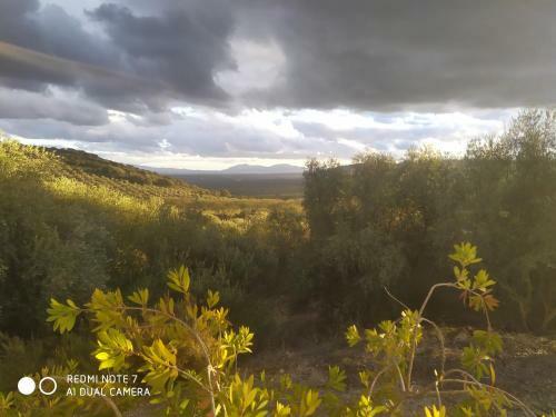 Agroturismo Casas Rurales Cortijo La Ca�ada
