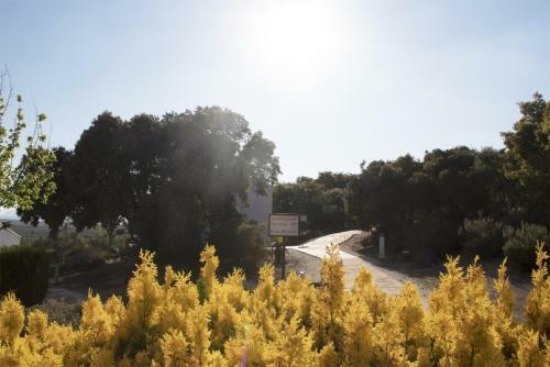 Agroturismo Casas Rurales Cortijo La Ca�ada