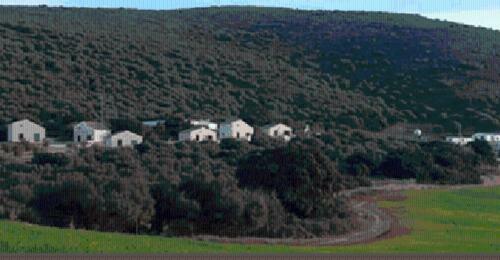 Agroturismo Casas Rurales Cortijo La Ca�ada