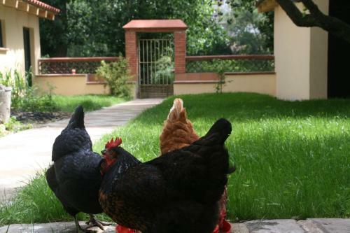Bb Sallent
