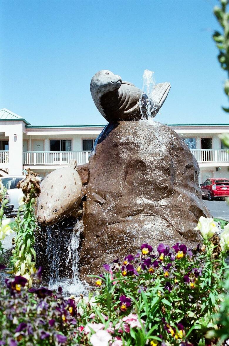 Hotel Best Western Plus Northwoods Inn