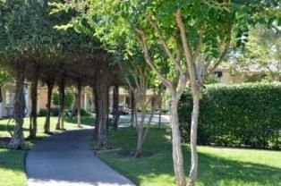 Hotel University Park Inn & Suites