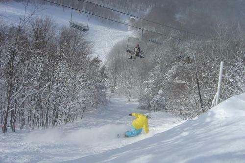 Hotel Caberfae Peaks Ski & Golf Resort