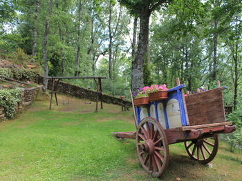 Agroturismo Caba�as De Madera Sanabria