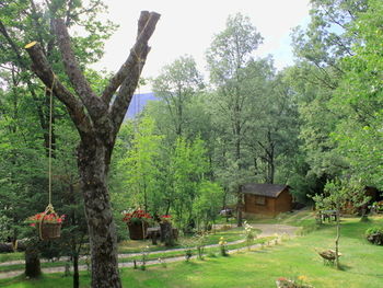 Agroturismo Caba�as De Madera Sanabria