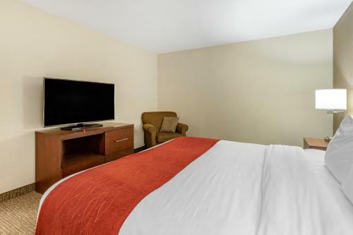 Hotel Comfort Inn Clemson - University Area