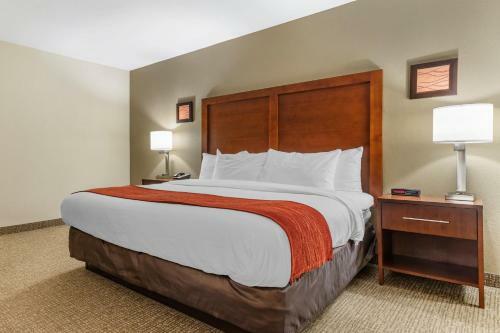 Hotel Comfort Inn Clemson - University Area