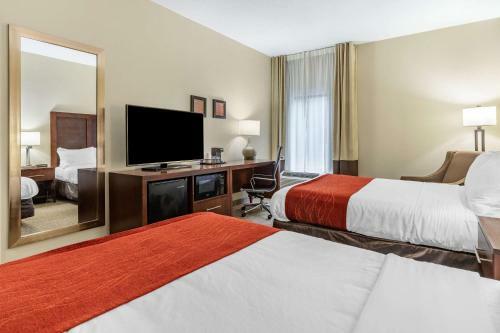 Hotel Comfort Inn Clemson - University Area