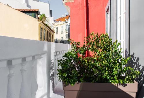 Hostal Monte Belvedere Boutique Guesthouse By Shiadu